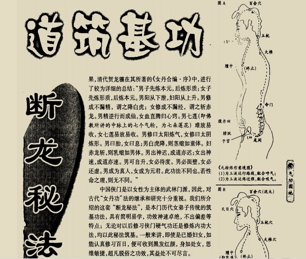 Read more about the article 《断龙秘法》免费PDF下载