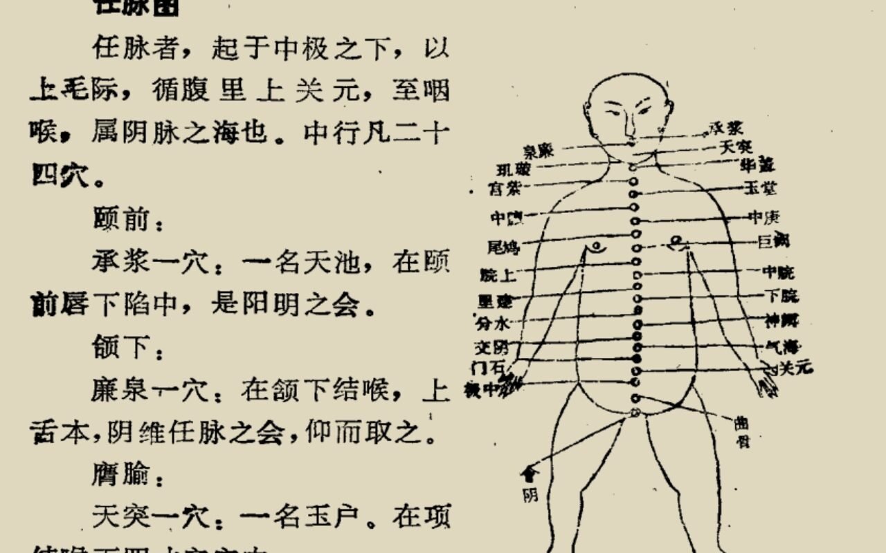 《易筋洗髓内功图说》