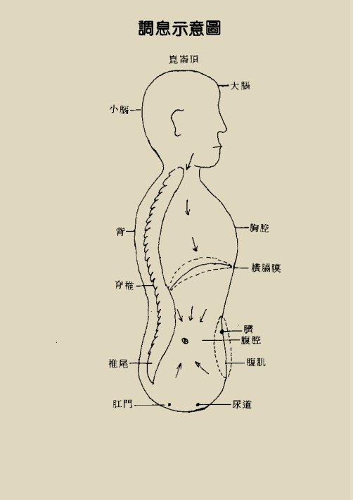 《中国道家养气全书》免费PDF下载