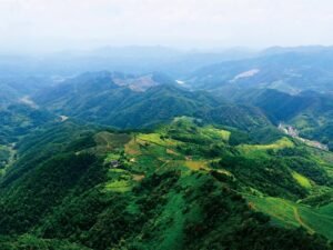 中医、狐仙、小龙，童年的梦