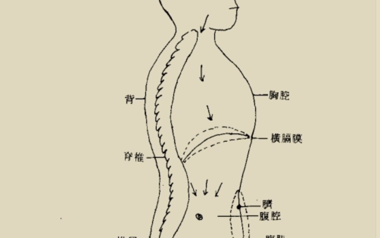 中国道家养气全书