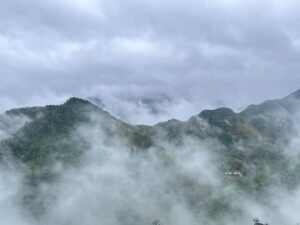 道长说：她不是这个世界的人