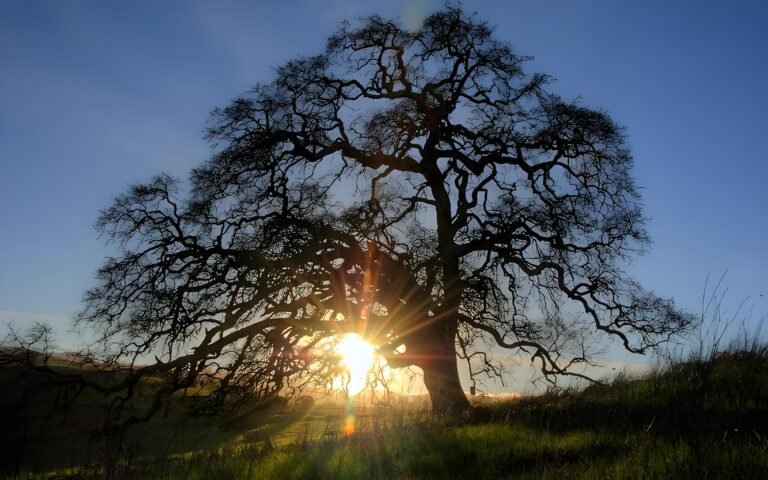 Read more about the article 太白山神秘事件：我看到了死而复生的女大学生