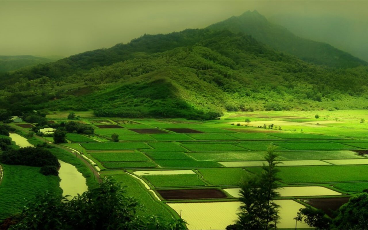 老道长：太行山叫“鬼山”的秘密