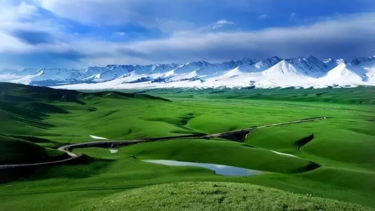 Read more about the article 讲一个神秘中医的故事