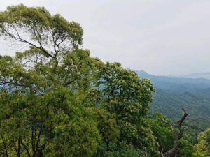 二月二，引钱龙，讲一个传奇故事