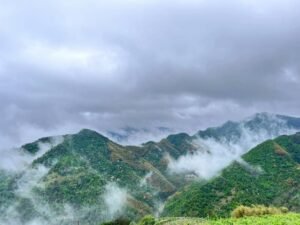 神秘阴阳古村：望月鳝、野狐仙
