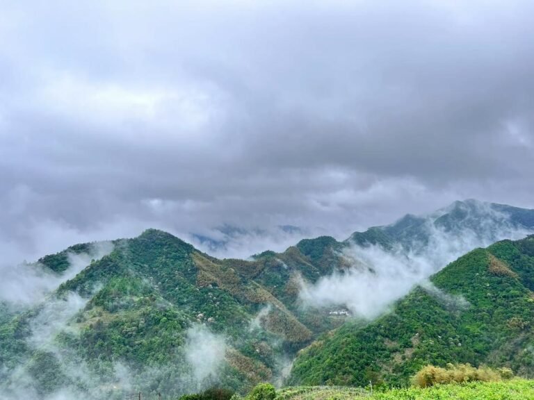 Read more about the article 神秘阴阳古村：望月鳝、野狐仙