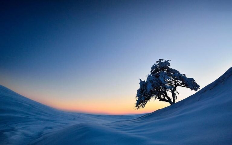 Read more about the article 泰山龙脉里葬的不是人……