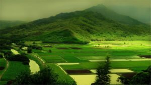 世家大族依旧存在，崖山之后就秘密迁到了海外？
