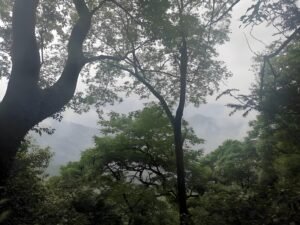 讲讲一个怪和尚的野狐禅