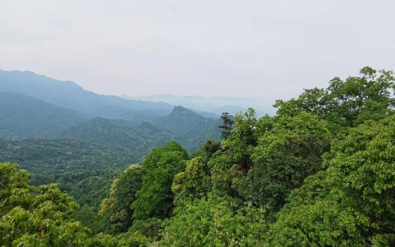 讲一个活神仙的故事，事情发生在青城山