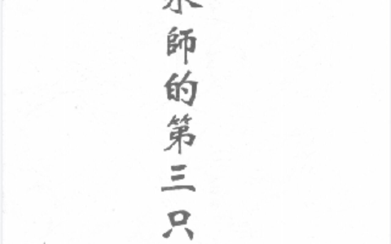 《风水师的第三只》