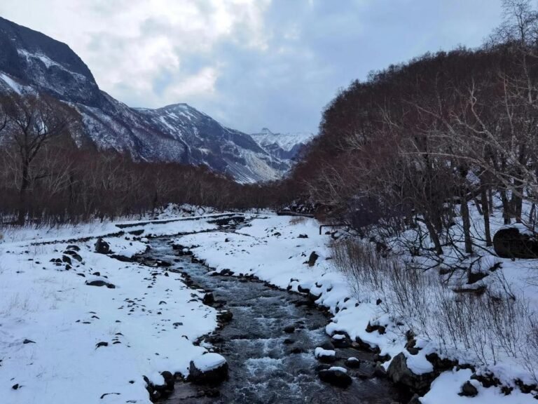 Read more about the article 重返人间