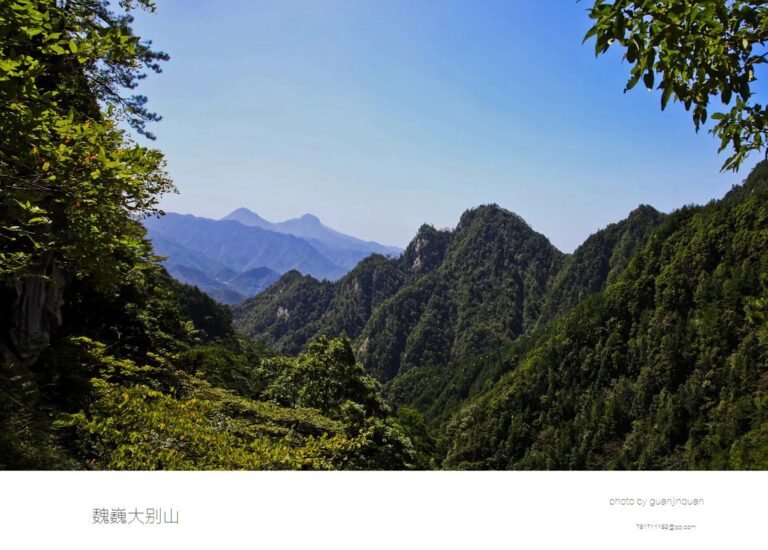 Read more about the article 一个江湖术士带我活捉大蛇妖