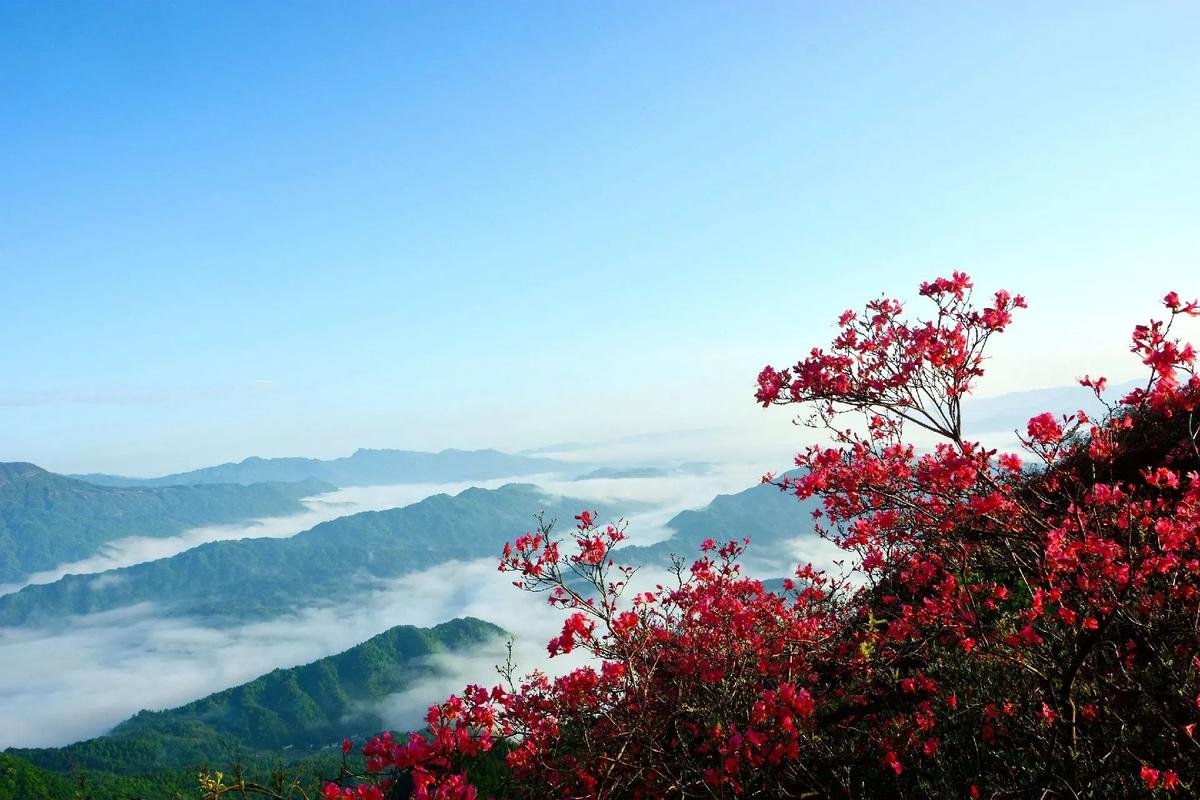 You are currently viewing 世间真有江湖，有人镇守边荒，有人降妖除魔