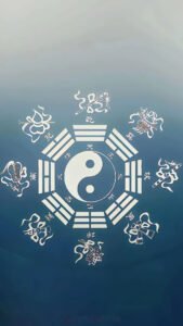 Read more about the article 八卦图