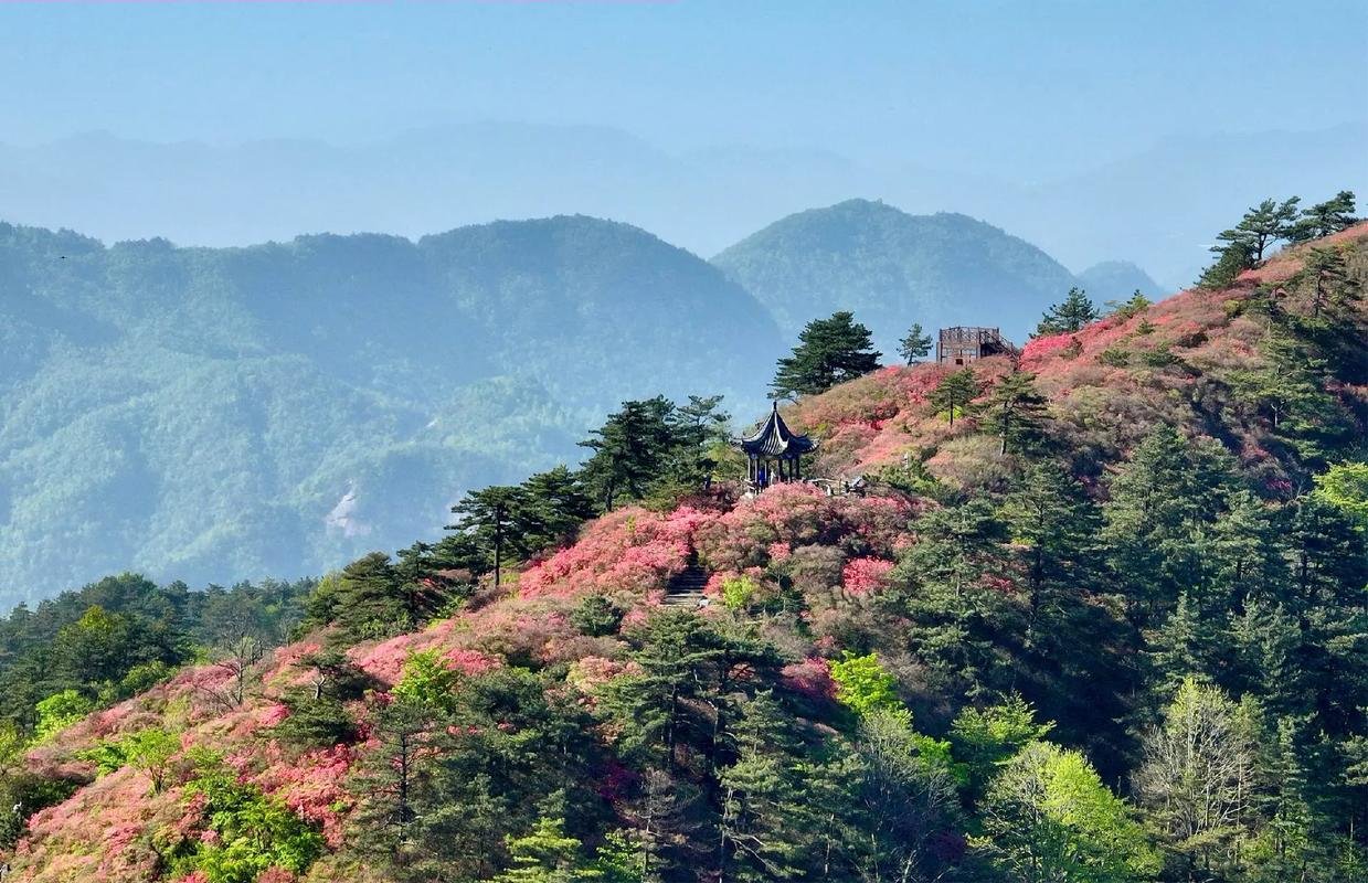 Read more about the article 史上最邪恶的天才罪犯
