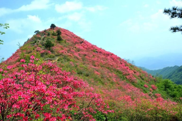 Read more about the article 如何看风水龙脉？