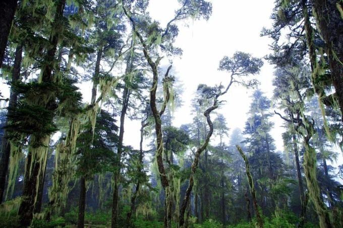 Read more about the article 电影院下诡异的万人坑，和龙脉风水有关