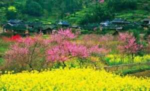 Read more about the article 怀仇恨葬身火海，生炫耀医术全失！（下）