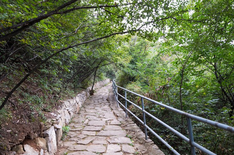 Read more about the article 讲讲端午节，为什么说这天是最“毒”的日子？