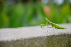 Read more about the article 二十四节气详解（下）