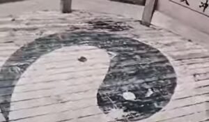 道可悟，不可学