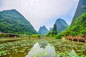 Read more about the article 最高级的养生——少