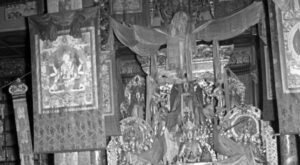 Read more about the article 神、仙、妖、精、人和鬼的区别及寿命