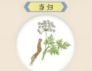 Read more about the article 道教养生之当归枸子羊肝汤