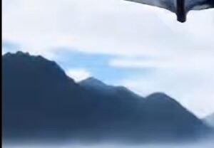 人生天地之间，若白驹之过隙