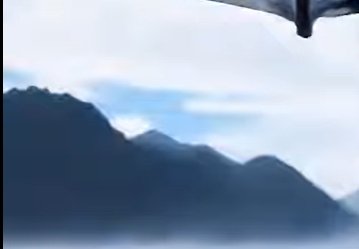 Read more about the article 人生天地之间，若白驹之过隙