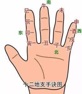 Read more about the article 十二地支掌上诀