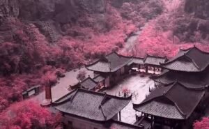哎，我命不好，老被鬼托梦